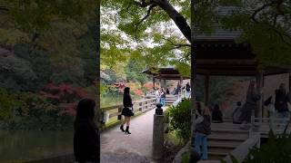 Anticipating Autumn at Naritasan Park [upl. by Padegs]