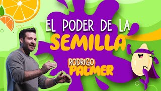 EL PODER DE LA SEMILLA  RODRIGO PALMER [upl. by Maryellen684]