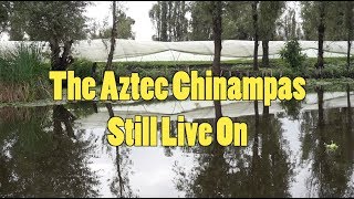 The Aztec Chinampas Live On [upl. by Lorrimor]