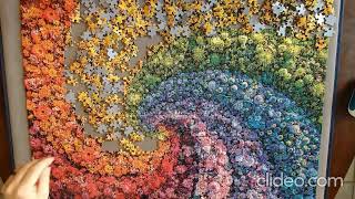 DESTRUCTION Color Bloom Collection Whirl  Clementoni Puzzle  1000 Piece Time Lapse [upl. by Inoj515]