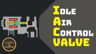 HINDI What is IAC Valve [upl. by Nwhas999]