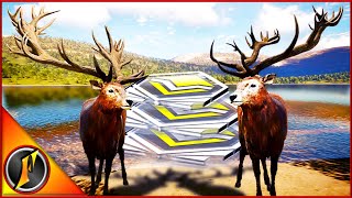 Stacking Up Diamonds on the Red Deer Grind [upl. by Finkelstein979]