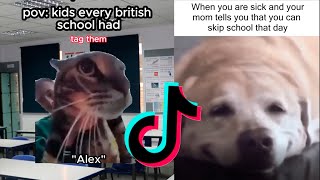 Relatable School Tiktok Compilation 💖 38 [upl. by Wynne]