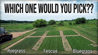 Which GRASS TYPE Is BEST For You And Your Lawn [upl. by Abihsat]