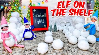 Elf on the Shelf Snowball Fight Day 7 [upl. by Denis153]