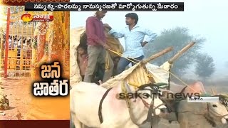 Bull Cart Special For Medaram Sammakka Saralamma Jatara [upl. by Niloc]