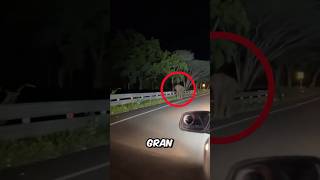 Se encontraron con un elefante muy agresivo 😳 [upl. by Cordey]