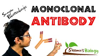 Monoclonal antibody  monoclonal antibody production using hybridoma technology [upl. by Janifer]