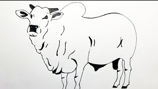 How to make a bull drawing easy step by stepdrawingv1t [upl. by Freddy]