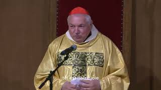 Homélie du Cardinal JeanMarc Aveline archevêque de Marseille à Lourdes le 18 05 2023 🕊️✝️🙏 [upl. by Cooke]