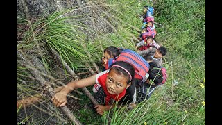 Kids Climb Unsecured Rattan Ladders Before They Get Home From School [upl. by Shanney974]