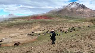 China TravelXizangTibet [upl. by Akimrej985]