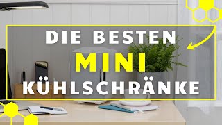 Mini Kühlschrank TEST 2024  Die besten Mini Kühlschränke im VERGLEICH [upl. by Dekow]