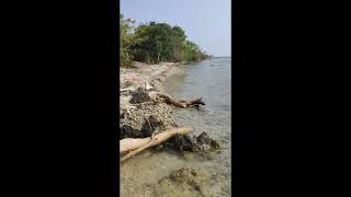 Bandengan beach Jepara [upl. by Ecinnaj953]