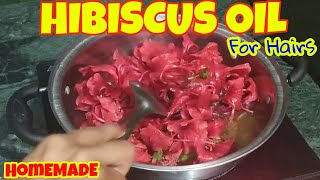 Homemade Hibiscus oil for hair growth and revitalization receipe  Gudhal k fool ka oil [upl. by Ian678]