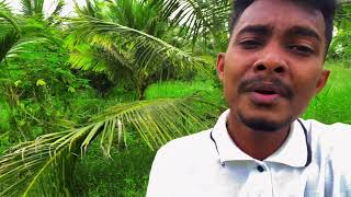 ලස්සන මුහුණ බලා 🥰  Sinhala Song  Best Sinhala Song [upl. by Puri903]