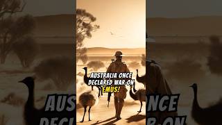 When Australia Fought Emus 🦤🇦🇺 GreatEmuWar [upl. by Libbna688]