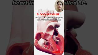 The Science Behind Blood Pressure Essential Information for Health Systolic amp Diastolic Explained [upl. by Sergeant]