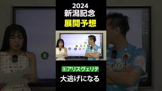 展開予想～新潟記念2024 ライトバックレッドラディエンスキングズパレス [upl. by Marcello788]