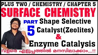 Enzyme Catalysis  Surface Chemistry class 12 in malayalam  Zeolites  Shape selective catalyst [upl. by Llehsem92]