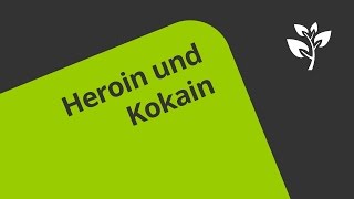 Aufklärung über Drogen Heroin und Kokain  Biologie  Mensch [upl. by Nosahc]