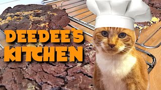 My Cats Kitchen  Episode 2 Catalicious Cookies  Cat Cooking Show [upl. by Hillari]