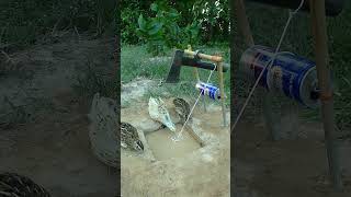 Amazing underground bird trap using an axe shorts [upl. by Angelique]