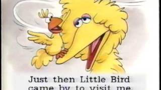 Sesame Street StartToRead Video  Nobody Cares About Me [upl. by Schmeltzer]