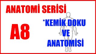 Kemik Doku ve Anatomisi A8 Anatomi Serisi [upl. by Anirrehs285]