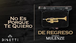 Orquesta Mulenze  No Es Porque Te Quiero  Salsa Romántica Con Letra [upl. by Pessa]