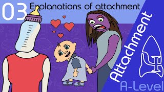 Explanations of attachment  Attachment ALevel Psychology [upl. by Avivah]