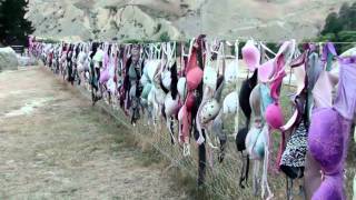 Cardrona Bra Fence [upl. by Ashjian]