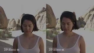 Sony FX30 vs Sony FX3 real world comparison side by side [upl. by Vivyanne]