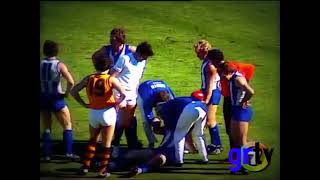 VFL Grand Final 1976 Leigh Matthews highlights [upl. by Engedi788]