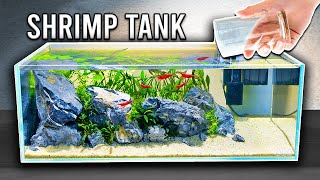 Beautiful amp Easy Planted Tank For Shrimp Step by Step [upl. by Inirt893]