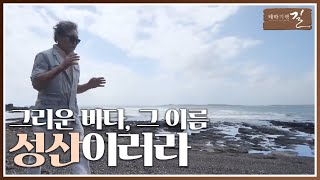 테마기행 길 그리운 바다 그 이름 성산이러라  여행 스케치  전주MBC 240927 방송 [upl. by Maurizio]