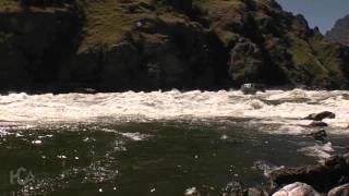 Hells Canyon Adventures Jet Boat Tours [upl. by Llesig]