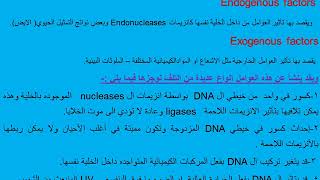 Mechanisms of DNA repair طرق اصلاح والتئام الدنا اد جمال حسان [upl. by Airbas363]