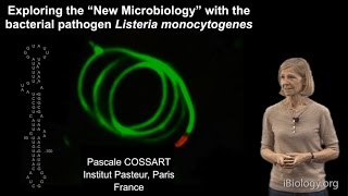 Pascale Cossart Institut Pasteur Part 2 Exploring quotNew Microbiologyquot with Listeria monocytogenes [upl. by Hgiellek]