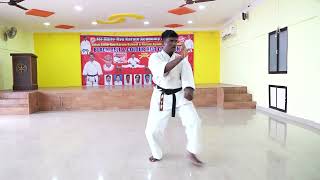 Seienchin kata with slowmotion Learn shito ryu karate JSJ karate Academy [upl. by Ecinerev]