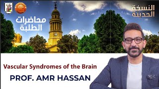 Vascular Syndromes of the Brain  أدعمرو حسن الحسني أستاذ المخ والأعصاب [upl. by Nnaeed]