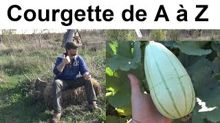 La Courgette de A à Z presque [upl. by Westlund]