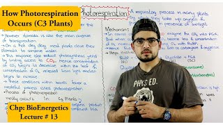 Photorespiration and its effects [upl. by Aicssej]