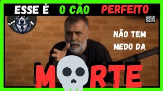 o Tipo de Cão Ideal pro Jairo Teixeira [upl. by Kilbride481]