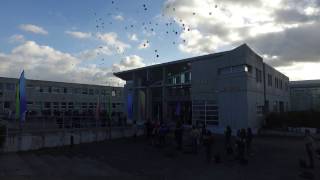 Mannequin challenge du Lycée Viollet le Duc [upl. by Christoper]