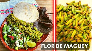 FLOR DE MAGUEY GUALUMBOS O GOLUMBOS DE HIDALGO CON CECINA Y ENSALADO DE NOPALES [upl. by Eileme136]