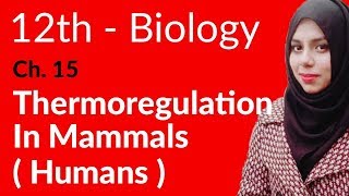 2nd Year Biology Ch 15  Thermoregulation In Mammals Humen  FSc Biology Book 2 [upl. by Ativahs]