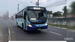 transcal onibus [upl. by Ailla]