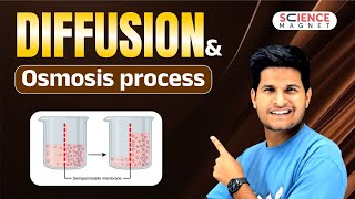 Diffusion and Osmosis process explained neerajsir sciencemagnet [upl. by Ihtak]