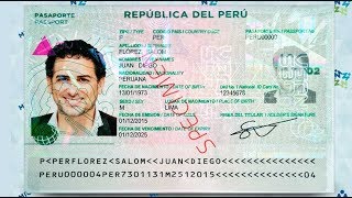 MI PASAPORTE BIOMETRICO [upl. by Kassaraba]